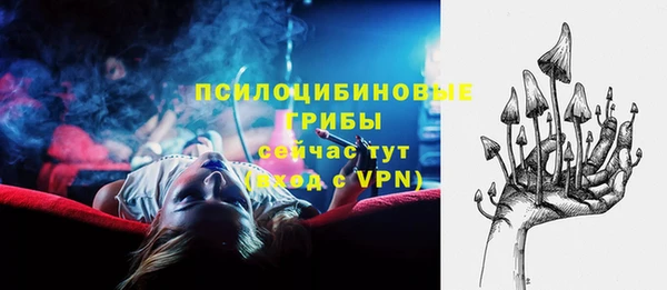 трава Аркадак