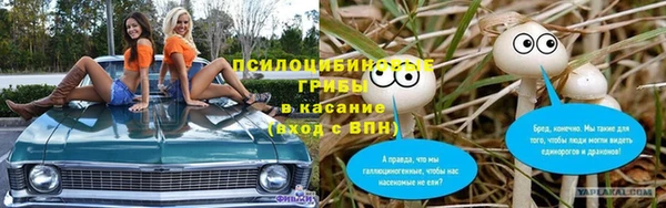 ГАЛЛЮЦИНОГЕННЫЕ ГРИБЫ Армянск