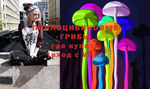 ГАЛЛЮЦИНОГЕННЫЕ ГРИБЫ Армянск