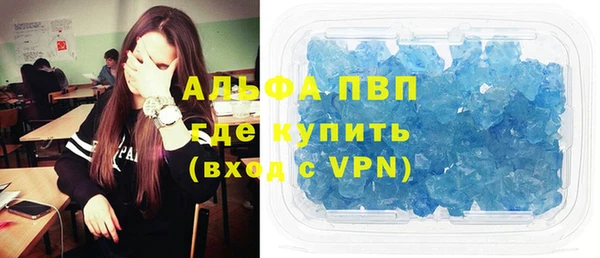 трава Аркадак