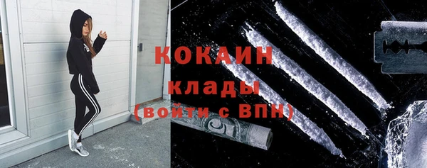 трава Аркадак