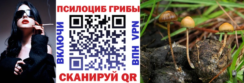 Галлюциногенные грибы ЛСД  Фролово 