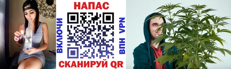 Бошки Шишки THC 21%  Фролово 